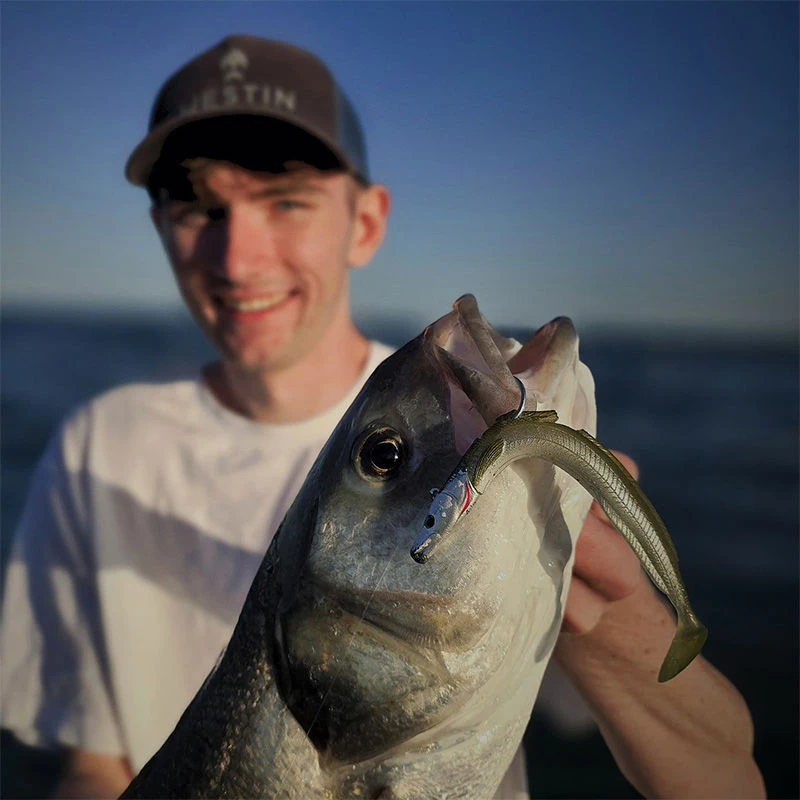 Westin Sandy Andy Jigs